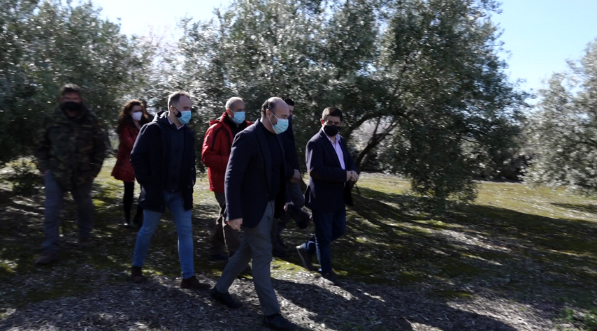 Visita institucional del presidente de la Diputación a Rus y sus excavaciones arqueológicas