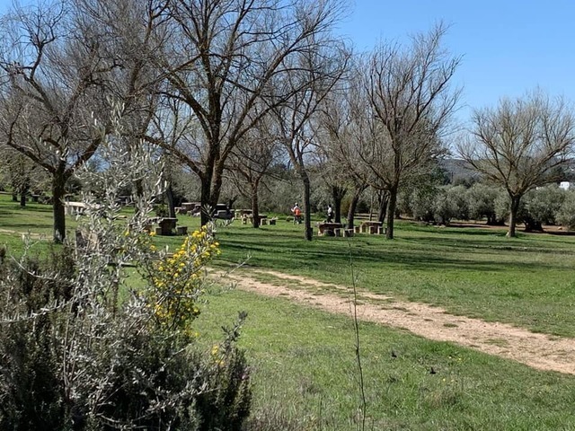 El Ayuntamiento de Torreperogil interviene en el área recreativa de "El Paso" 2 El paso cañada real