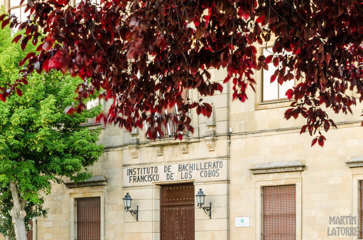 33 familias con incertidumbre por la falta de una tercera línea de 1º de ESO en el IES «Francisco de los Cobos» de Úbeda