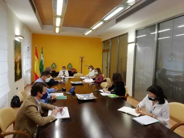 Celebrada reunión del Comité Territorial de Alerta de Salud Pública en la provincia de Jaén