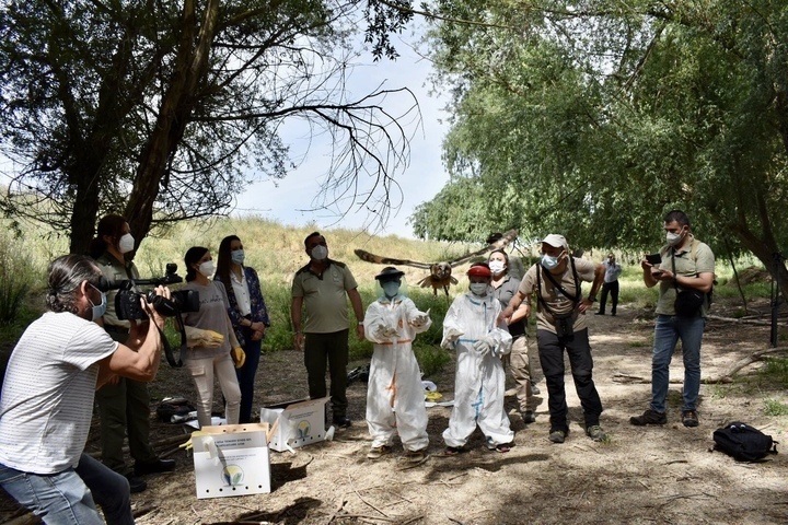 La Junta fomenta la participación de escolares para conservar la biodiversidad jiennense