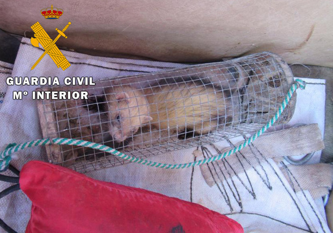 La Guardia Civil investiga a dos personas como presuntas autoras de un Delito contra la Protección de la Flora y Fauna