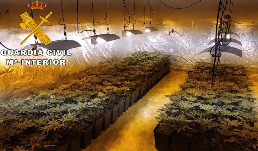 La Guardia Civil detiene en Baeza a una persona como presunta autora de un delito contra la salud pública 2 MARIHUANA BAEZA