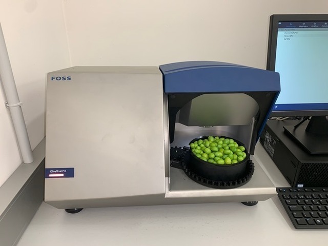 El laboratorio «Olivarum» de la Fundación Caja Rural, pionero en la acreditación ENAC para análisis de aceituna entera por la técnica NIR