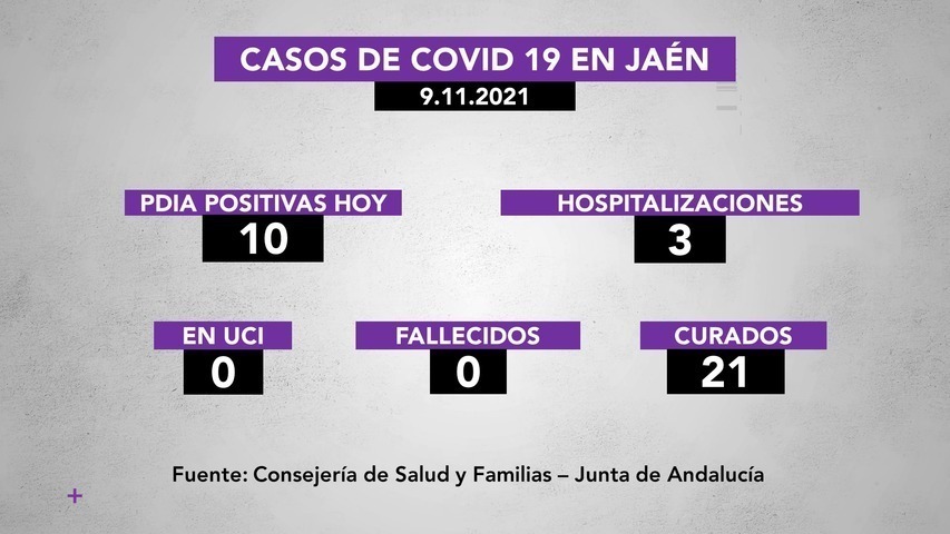 Covid19 en la provincia a 9 de noviembre: 10 positivos nuevos, 3 personas hospitalizadas y 21 curadas