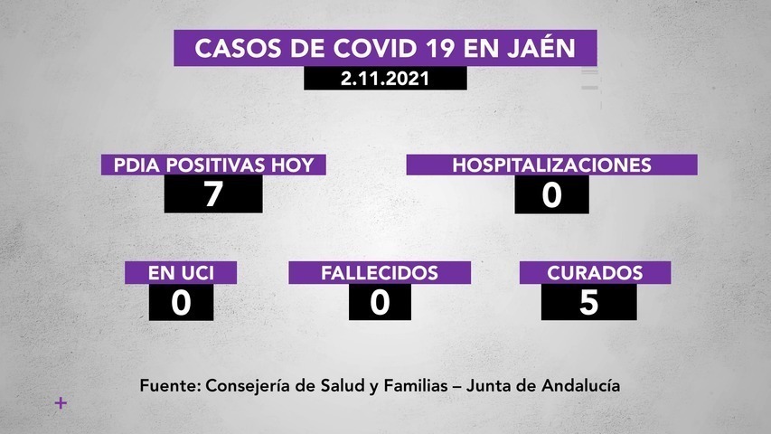 Covid19 en la provincia a 2 de noviembre: 7 nuevos positivos y 5 personas curadas