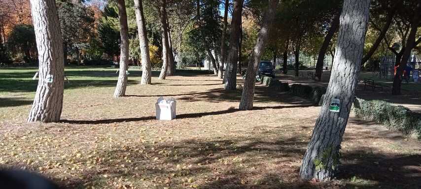 09 El ayuntamiento de Baeza aplica tratamiento contra la procesionaria 1 1