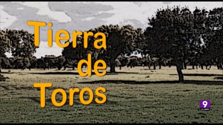 tierra de toros caratula