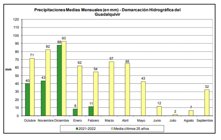Las precipitaciones acumuladas a lo largo del año hidrológico son un 47% inferior a la media histórica 1 precipitaciones medias mensuales demarcacion hidrografica del guadalquivir chg