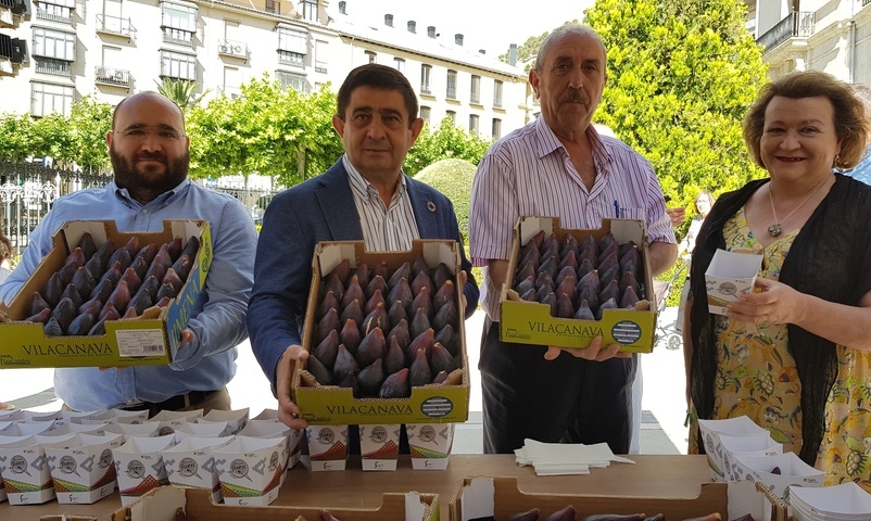 La IX Muestra Provincial de la Breva de Jimena que promueve Diputación llevará este producto a 9 municipios