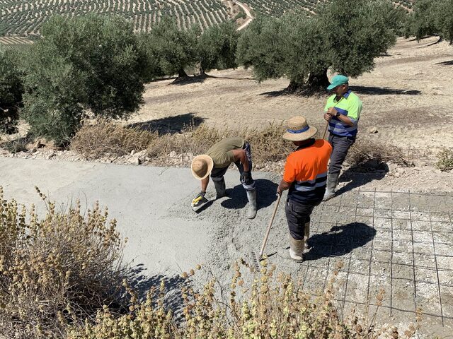 El Ayuntamiento de Baeza invierte 48.000€ en la conservación y mejora de los caminos agrícolas