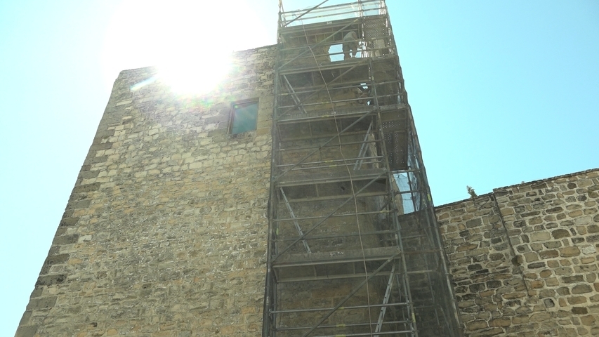 limpieza de higuera del Torreón de la Puerta de Úbeda