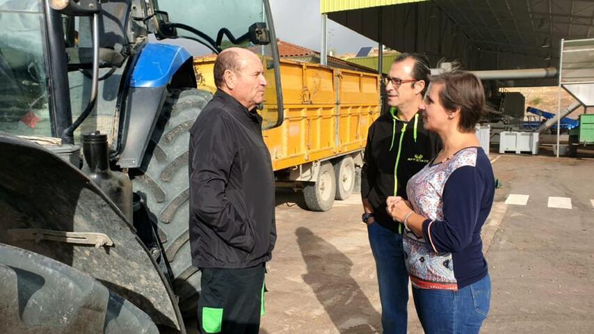Comienza la recolección del pistacho en la provincia 2 Comienza la recoleccion del pistacho en la provincia