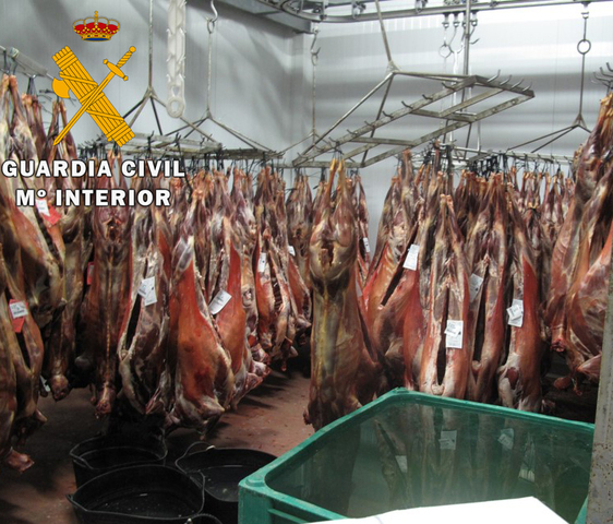La Guardia Civil inmoviliza 270 ovinos y caprinos en un matadero de la provincia de Jaén
