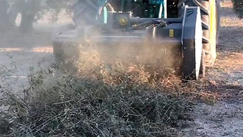 COAG pide al Gobierno una moratoria de dos anos para la aplicacion de la nueva normativa de quema de restos vegetales agricolas gigapixel low res scale