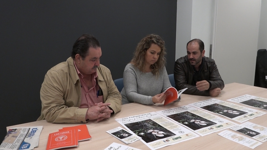 Ubeda acoge una Muestra de setas y hongos de la Asociacion micologica provincial Lactarius 2.18.1