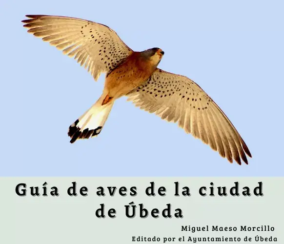 GUIA DE AVES DE UBEDA jpg