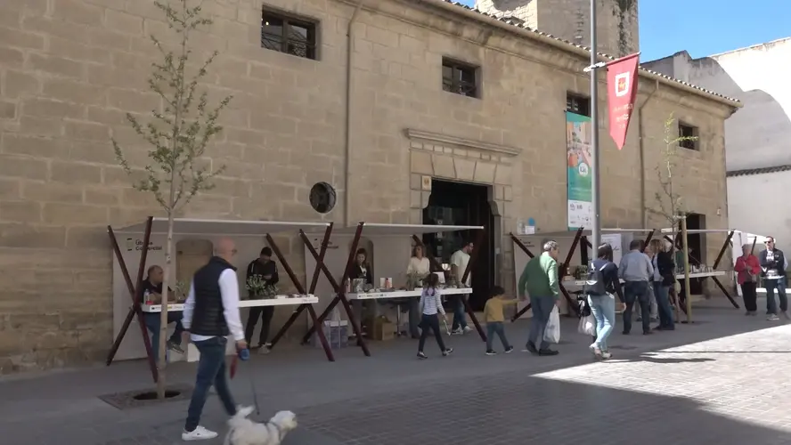 El Centro de Olivar y Aceite celebra su 10º Aniversario con unas Jornadas de Puertas Abiertas 2 El Centro de Olivar y Aceite celebra su 10o Aniversario con unas Jornadas de Puertas Abiertas 1.5.1 jpg