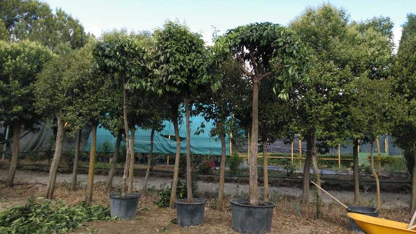 661cd079 9c7c 49a3 8fda 69228099ea17