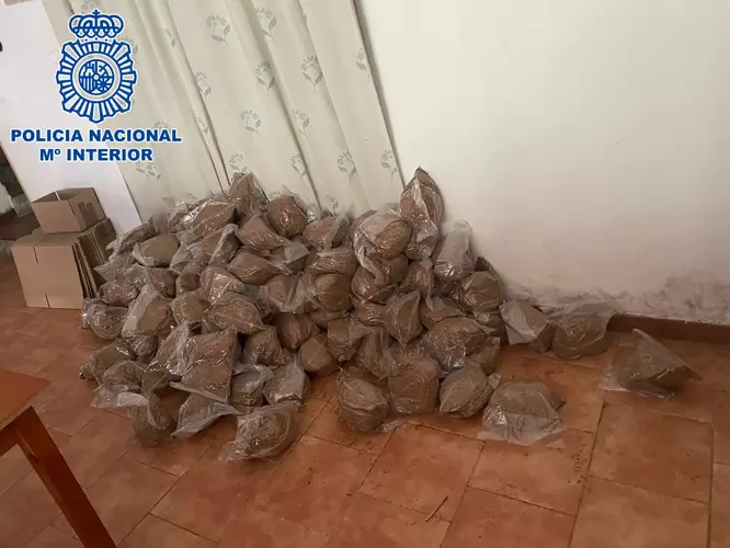 La Policía Nacional desarticula una Organización Criminal dedicada al contrabando de tabaco 2 Imagen Ib jpg