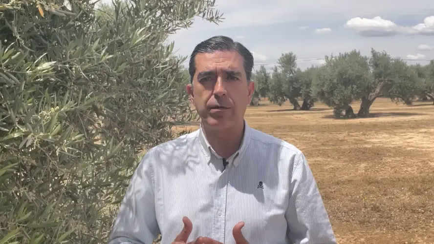 Pedro J. Cabrera explica sus propuestas electorales para Agricultura en Baeza