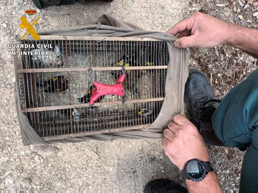 La Guardia Civil está investigando al presunto autor de un Delito Contra la Flora y Fauna