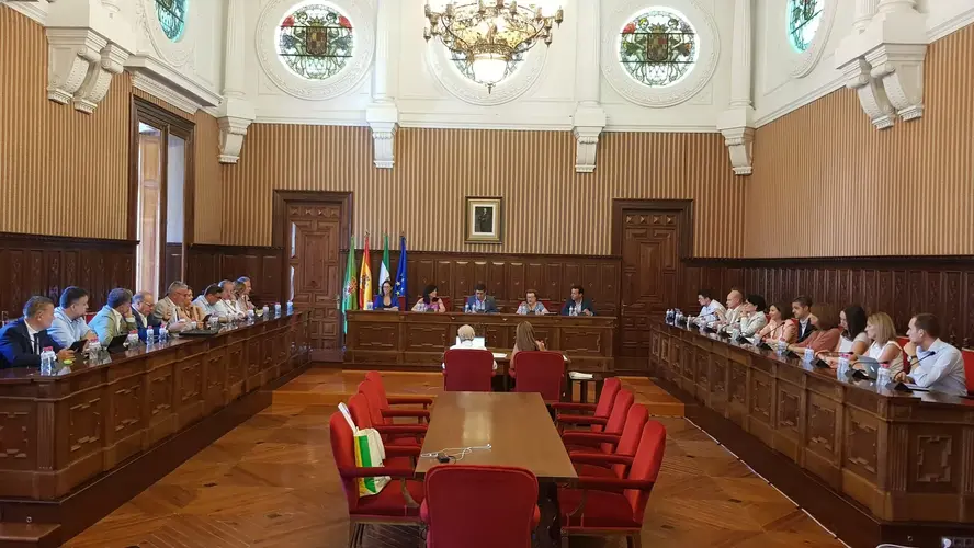 Diputación celebra un pleno extraordinario para determinar su organización en los próximos 4 años