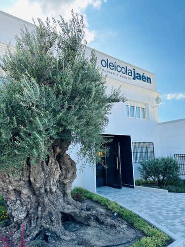 AOVEland, la Almazara visitable de Oleícola Jaén ya es una realidad
