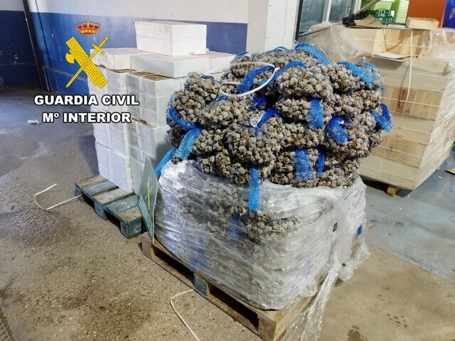 La Guardia Civil interviene más de 4000 kg de pescado y marisco en Merca-Úbeda 2 La Guardia Civil interviene mas de 4000 kg de pescado y marisco en Merca Ubeda