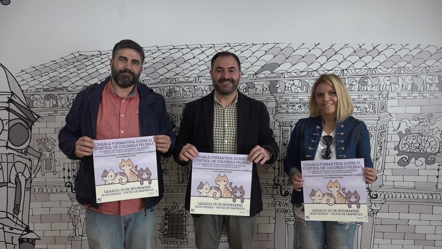 Mercadillo Solidario de Baeza gatuna