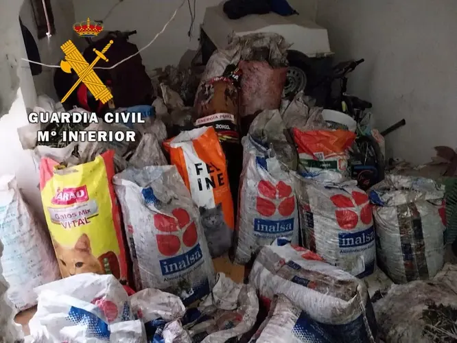 La Guardia Civil ha detenido a los presuntos autores de un delito de robo de aceituna