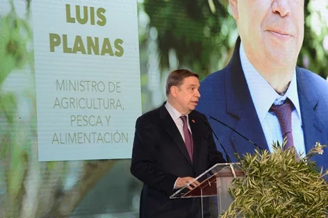 Luis Planas subraya que el sector del aceite de oliva afronta el reto extraordinario de mantener unos precios estables