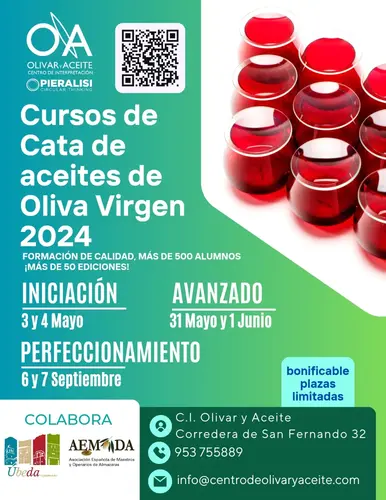 El Centro de interpretación Olivar y Aceite pone en marcha una nueva edición de sus cursos de cata 2 20240215 CURSOS DE CATA CENTRO OLIVAR 1 jpeg