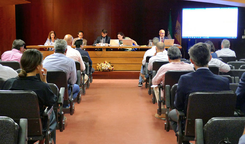Adjudicados en subasta por 7 millones siete inmuebles que salían a la venta por 5,5 millones