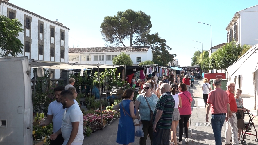 Baeza abre licitación para nuevos puestos de venta en el mercadillo