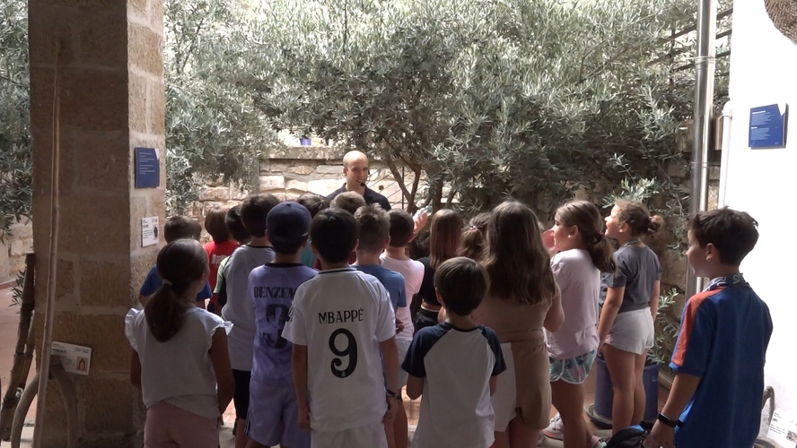 "Olivar y Aceite" acerca el oro líquido a los más jóvenes de Úbeda 2 Olivar y Aceite acerca el oro liquido a los mas jovenes de Ubeda 2 1.1.1