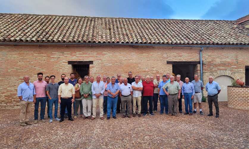 Los primeros resultados del proyecto europeo Soil O Live muestran un estado del suelo del olivar mediterraneo mejorable