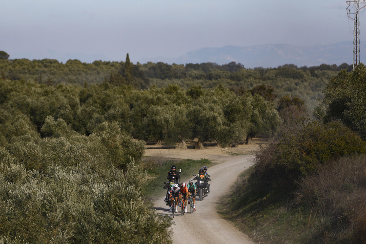 Michal Kwiatkowksi inscribe su nombre en los Caminos de Olivos 5 Michal Kwiatkowksi inscribe su nombre en los Caminos de Olivos 3