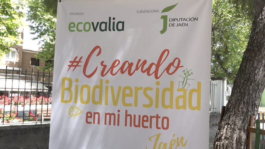 El CEIP San Juan de la Cruz de Baeza recibe el primer premio del programa «Creando biodiversidad en mi huerto».