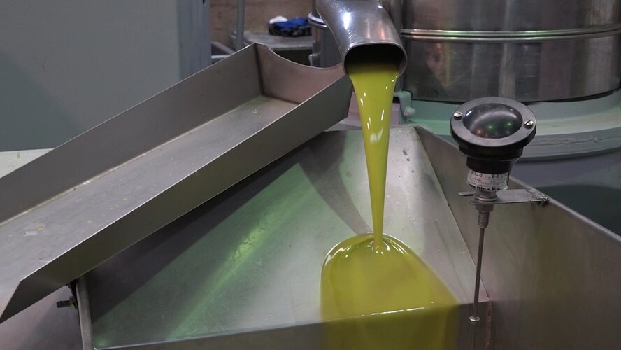 COAG denuncia un desfase injustificado de mas de 2 euros en el precio del aceite de oliva en origen