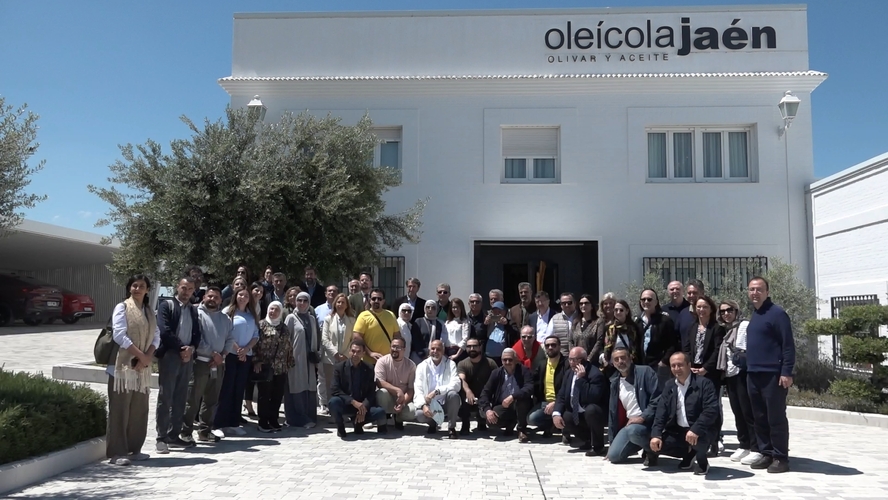 Baeza y Úbeda, epicentros del sector oleícola mundial con la visita del Consejo Oleícola Internacional