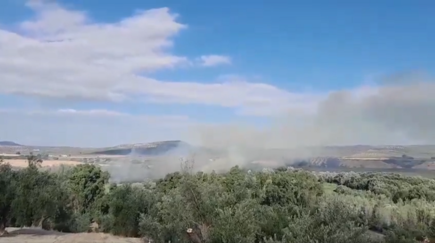 El Infoca trabaja en un incendio detectado esta madrugada en San Miguel, Úbeda