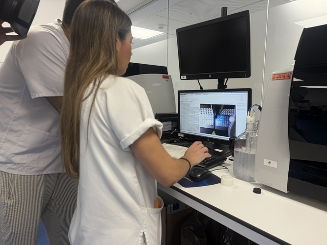 Baeza permanece como área en alerta por la circulación de virus del Nilo en mosquitos