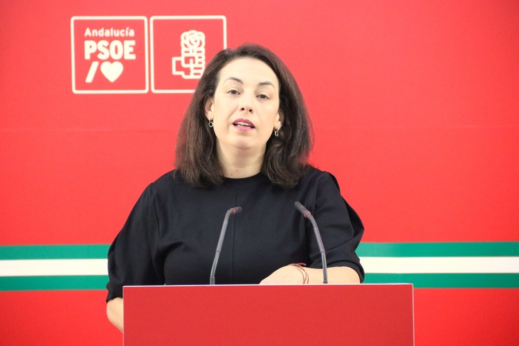 El PSOE propone una conferencia de presidentes de Diputacion con el Consejo de Gobierno de la Junta