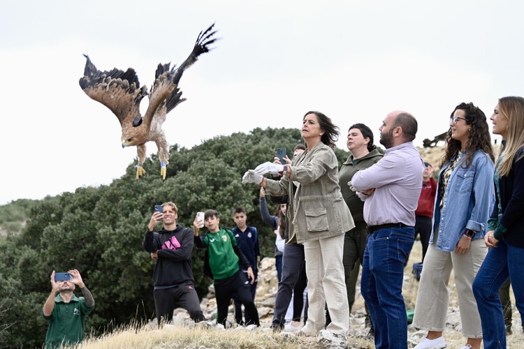 La Junta libera a ‘Jimena’, un nuevo ejemplar de águila imperial en el Parque Natural de Sierra Mágina