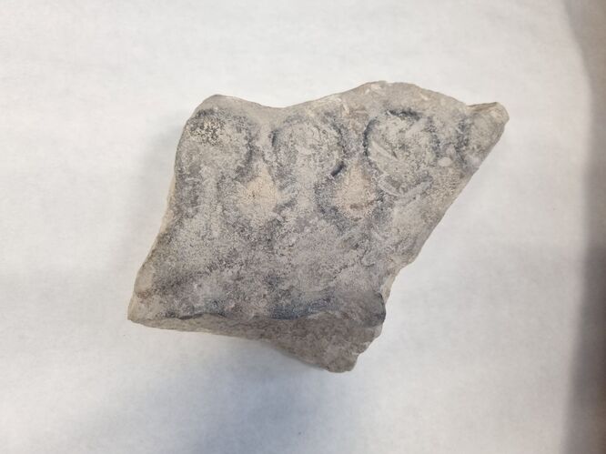 Descubierto en Porcuna el primer molde de piedra para la producción de moneda documentado en la Península Ibérica