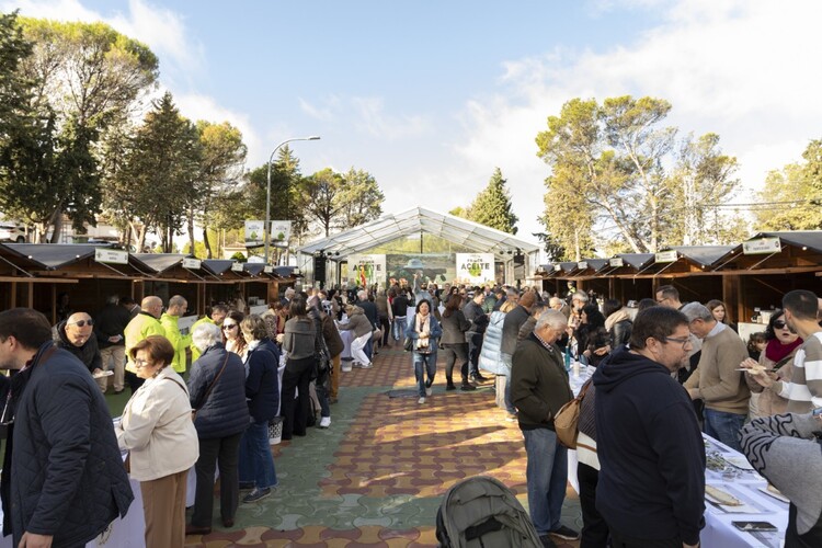 Fuenlabrada acogerá del 14 al 16 de noviembre la Fiesta del Primer Aceite de Jaén con la presencia de 33 AOVEs tempranos