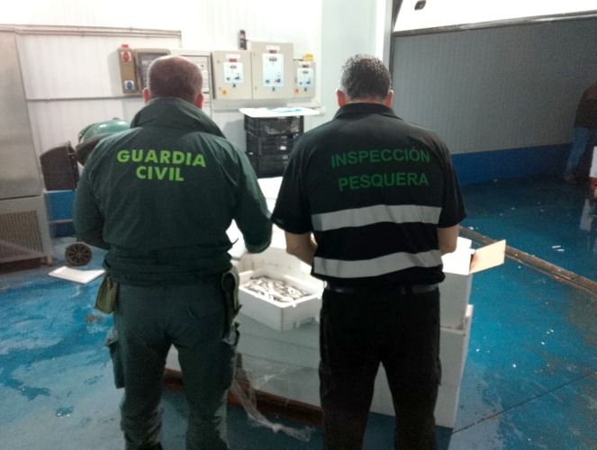 Inspeccion Pesquera de la Junta y Seprona intervienen en Ubeda cerca de 800 kg de productos sin garantias de seguridad para su consumo