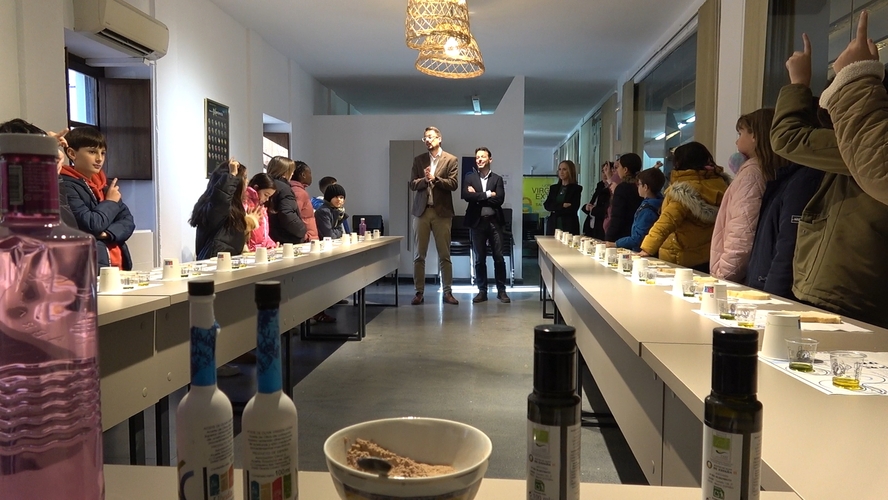 Úbeda dinamiza el Día Mundial del Olivo con visitas de escolares y degustaciones gratuitas