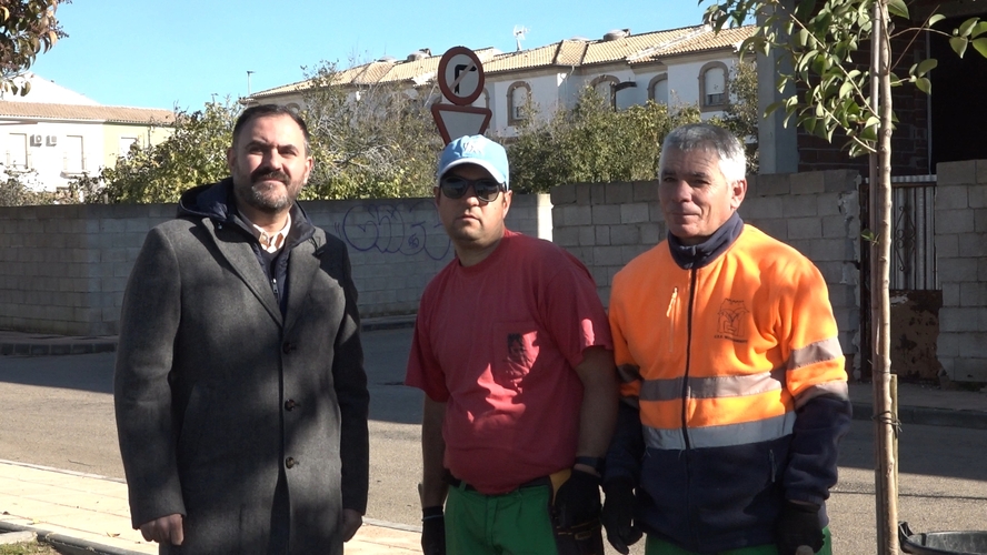 Baeza impulsa la reforestación urbana con la plantación de nuevos árboles